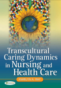 Transcultural caring dynamics in nursing and health care